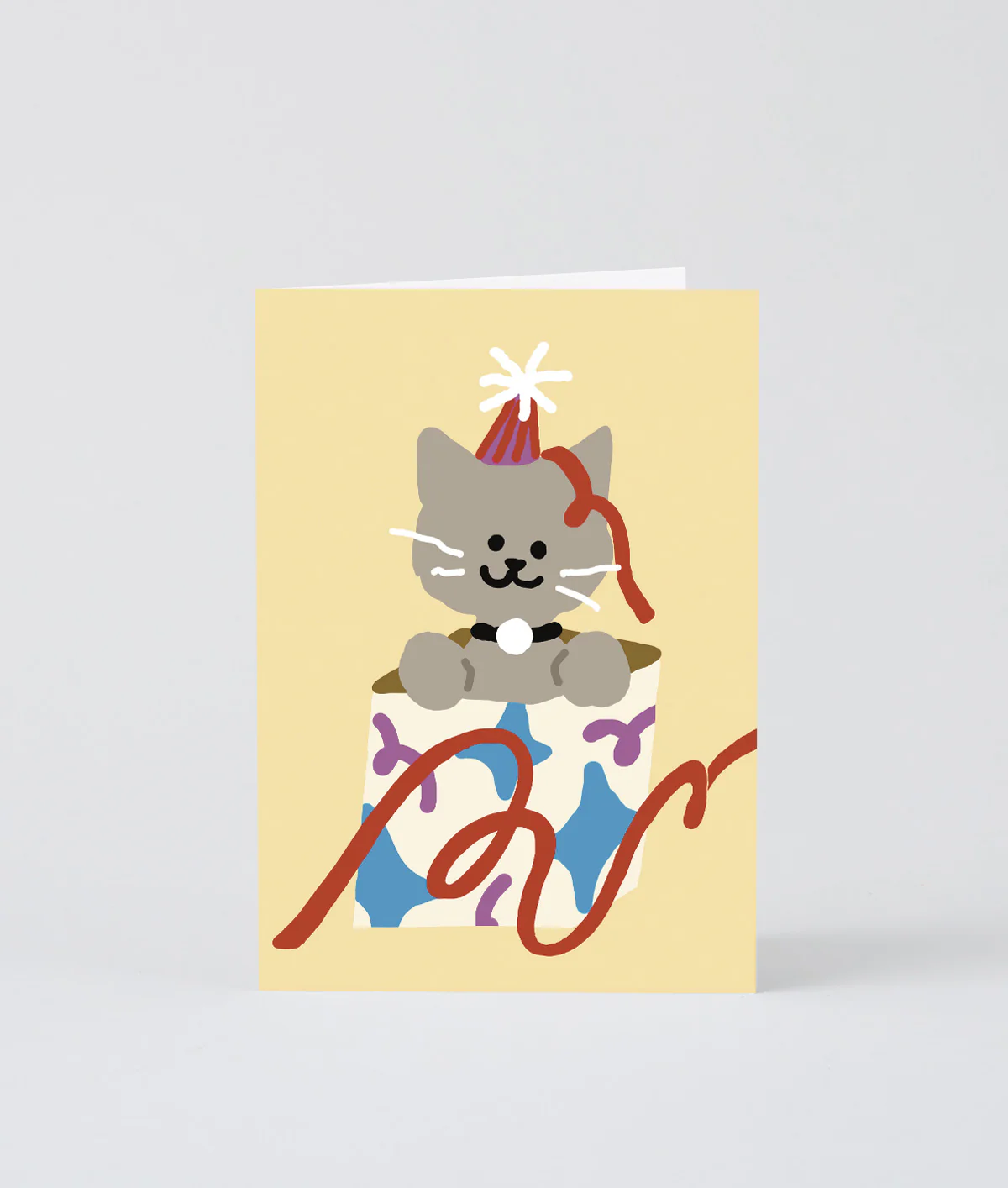 Cat In A Present