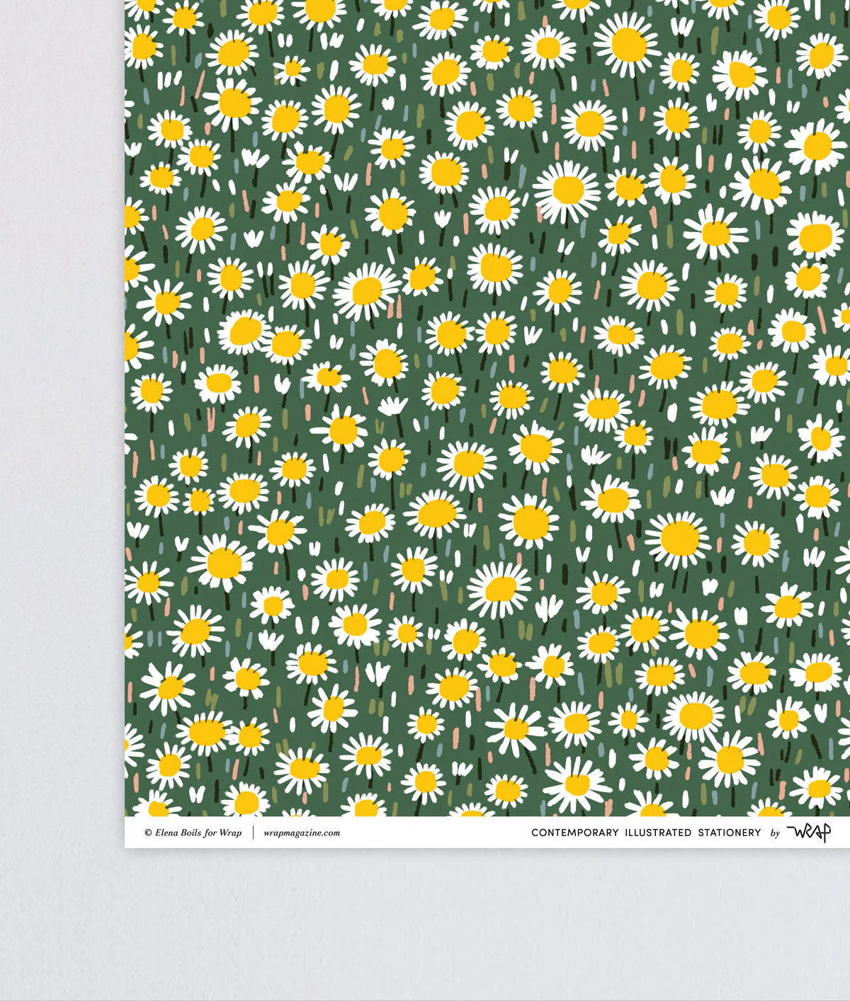 Daisies Wrapping Paper - Image 5