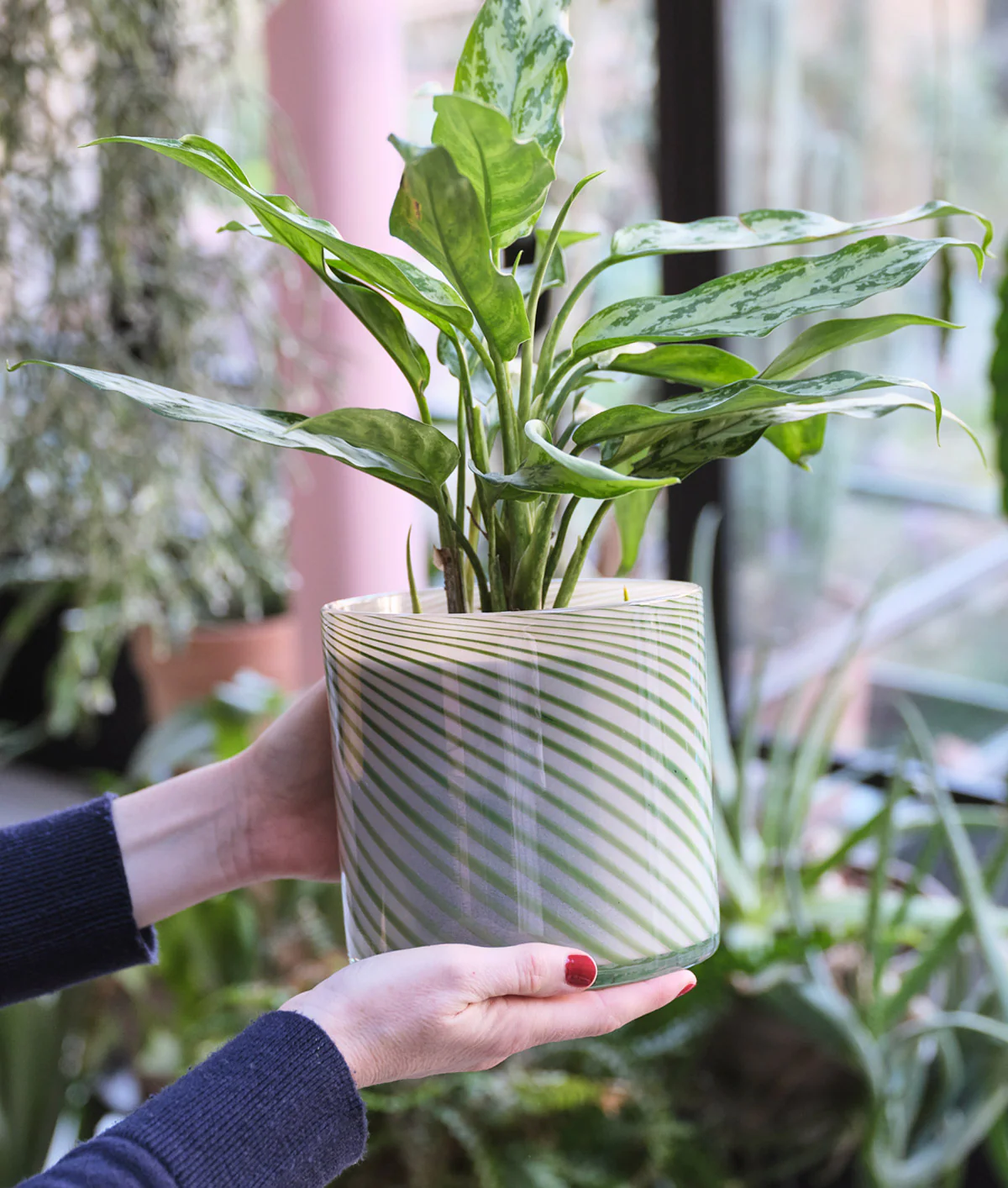Large Spiral Glass Planter Green - Image 3