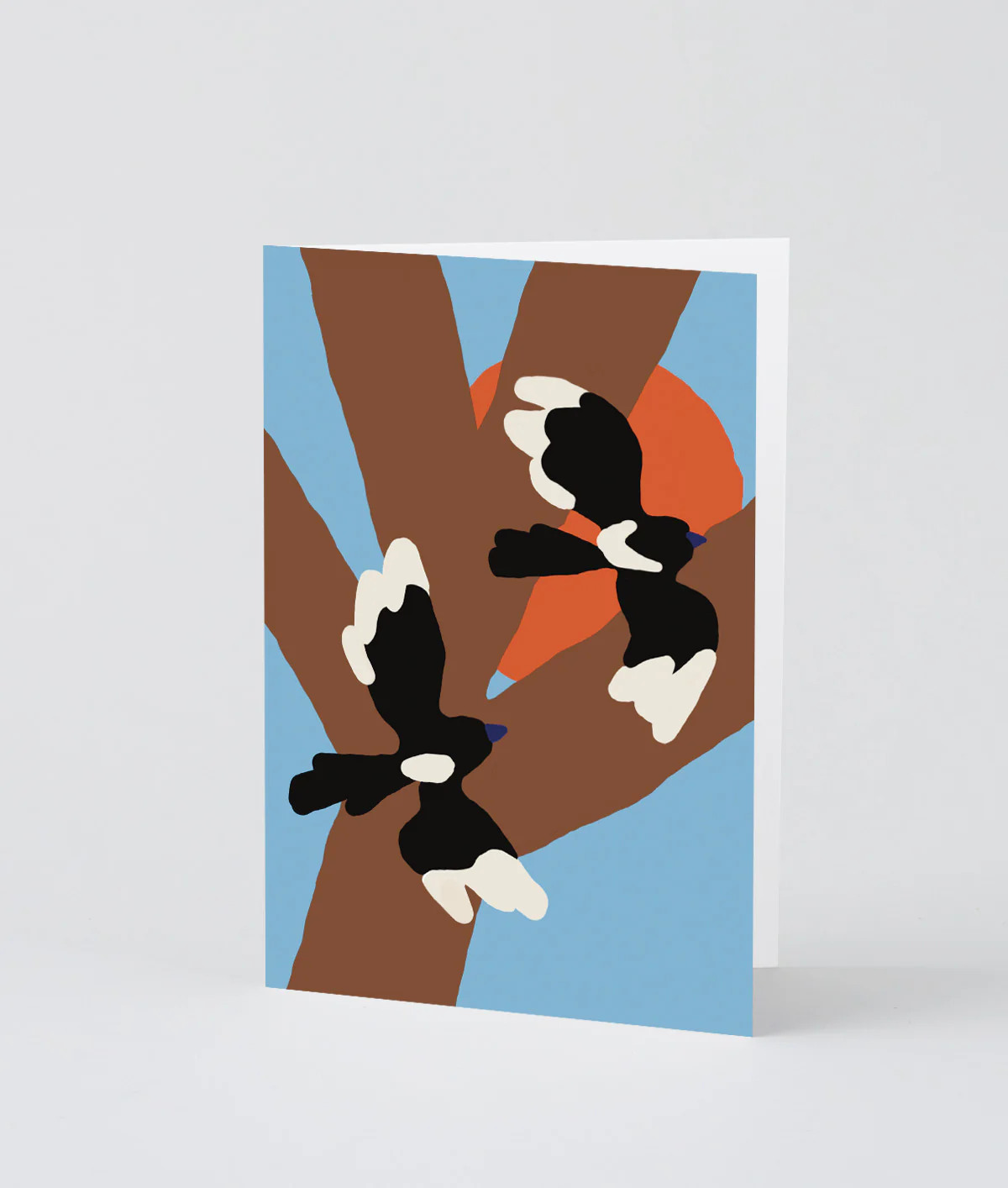 Magpies