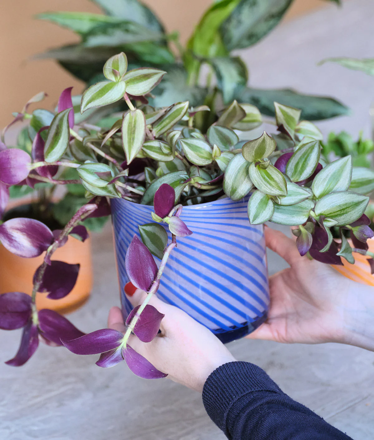 Medium Spiral Glass Planter Blue - Image 6
