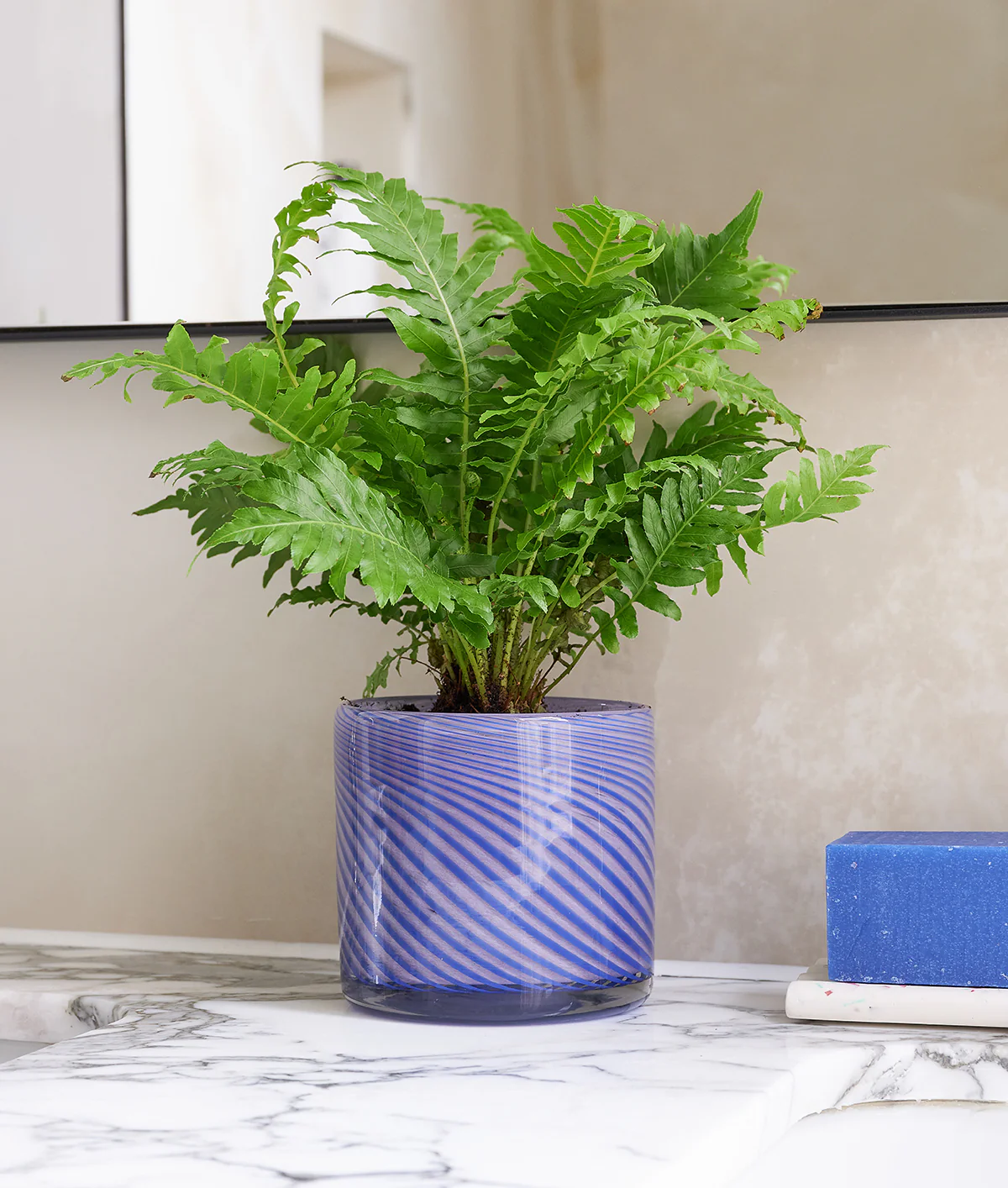Medium Spiral Glass Planter Blue - Image 7