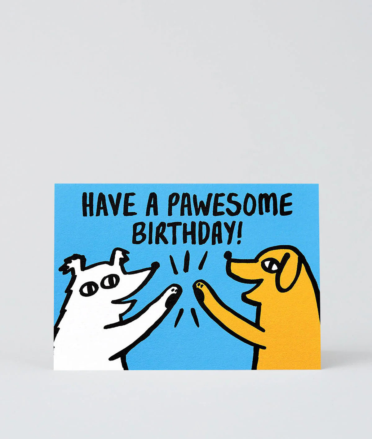 Pawsome Birthday - Image 2