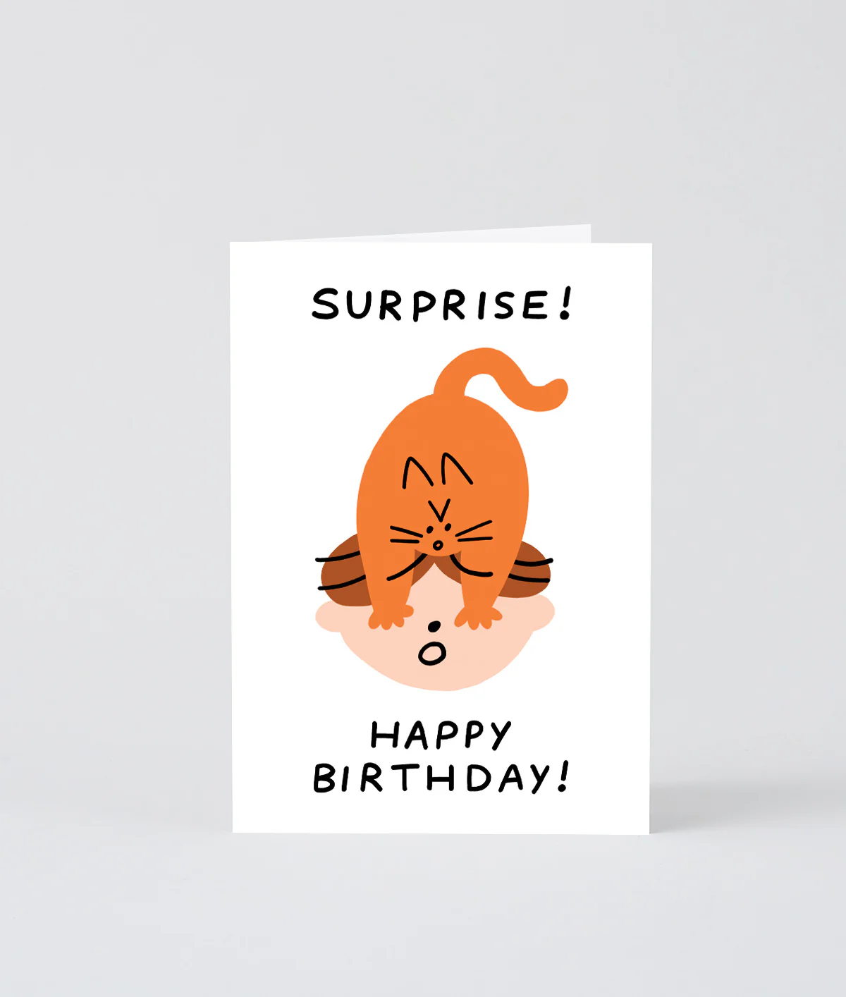 Surprise! Happy Birthday Cat - Image 2