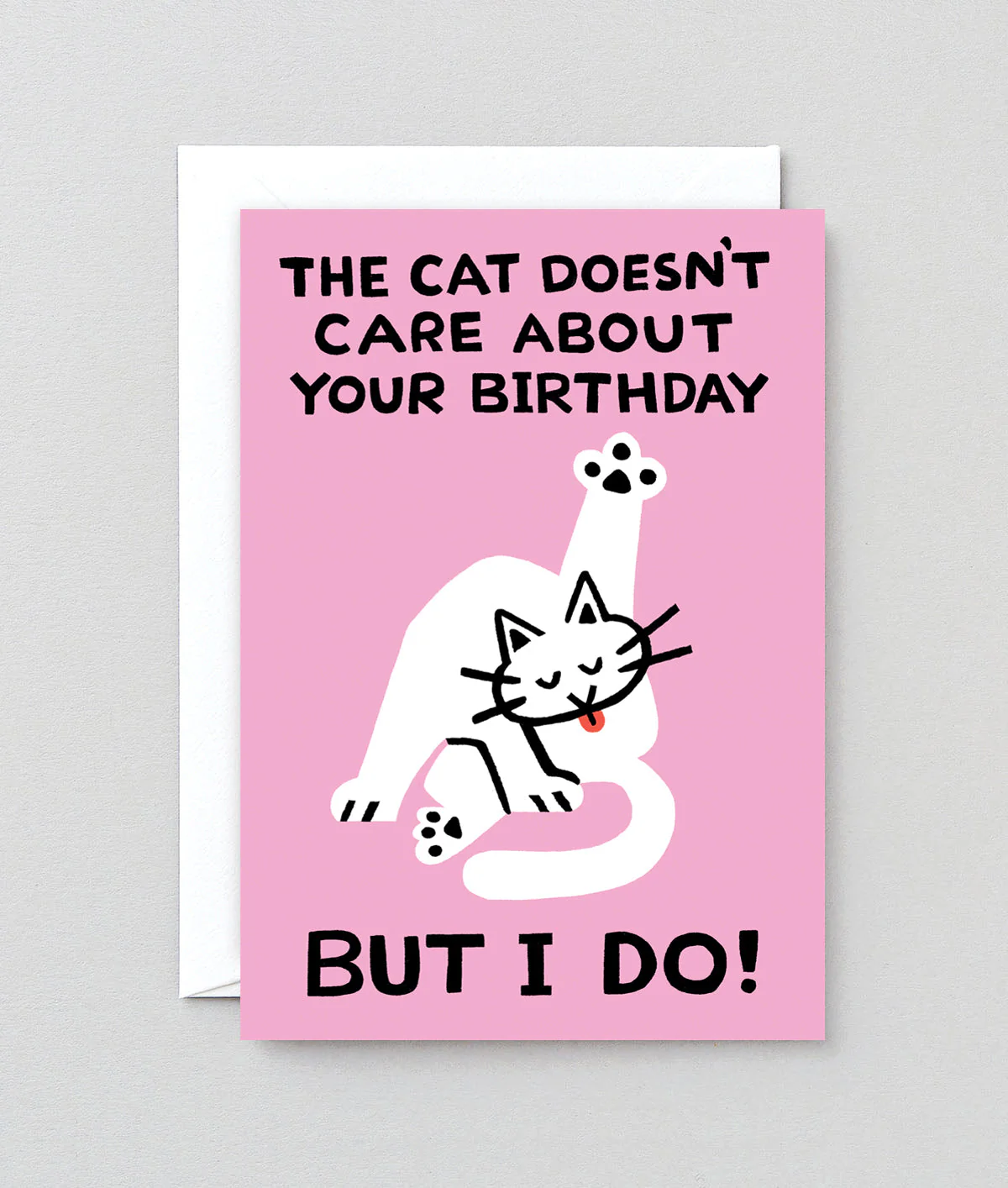 The Cat Doesn't Care