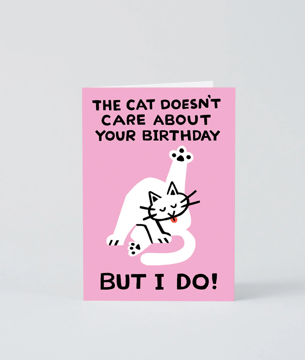 The Cat Doesn't Care - Image 2